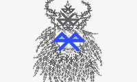 What does Bluetooth mean?