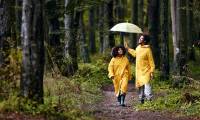 What does the weather forecast '30% chance of rain' mean?