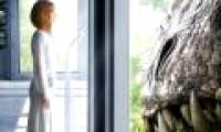 What happens if humans and dinosaurs coexist?