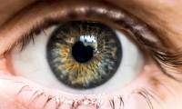 What happens to the human eye if the heart and brain stop working?