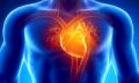 What happens when a heart attack occurs?