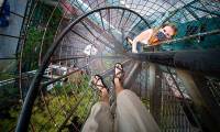 What is acrophobia?