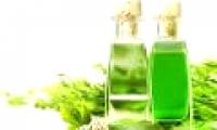 What is cajeput oil?  Uses of cajeput oil