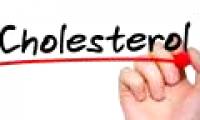 What is cholesterol?