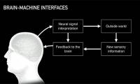 What is Neuralink? Can Neuralink 'cure' tinnitus as Elon Musk claims?