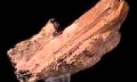 What is rare earth means to people