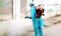 What is the most effective way to prevent dengue?