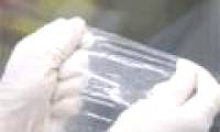What is the other condom funded by Bill Gates?