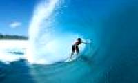 What will happen if tsunami?
