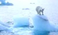 What's going on with the Earth's 'refrigerator'?