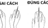 What's new is the way to hold the mouse correctly, making your hands not tired and sore
