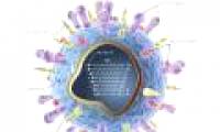 When has the H1N1 flu virus been known?