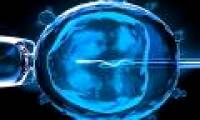 When should I do in vitro fertilization?