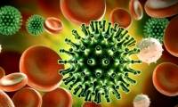 Where do viruses come from and are they living things?