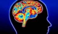 Where does strange perception come from?