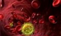 Where is the only person who escapes from the HIV death virus?