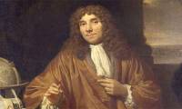 Who was the first to discover sperm?