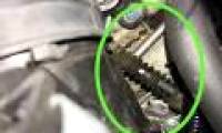 Why are cars bitten by rats today?