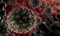 Why can people recover from re-infection with nCoV?