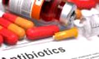 Why can't dengue drink antibiotics?
