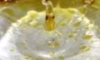 Why can't oil dissolve in water?