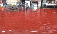 Why do some areas of the Earth appear 'blood rain'?
