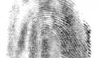 Why do we have them?