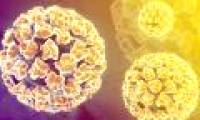 Why do young children also have genital warts?