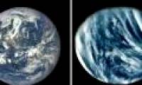 Why does life appear on Earth instead of Venus?