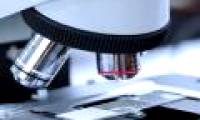 Why does the microscope output monochrome images?
