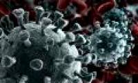 Why does WHO say it takes 18 months to get the vaccine for corona virus?