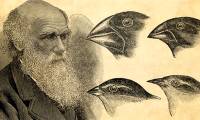 Why India Removed Darwin's Theory of Evolution from Textbooks