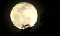 Why is the first-born boy and the girl on the full moon difficult to raise?