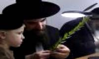 Why is the smartest Jew in the world?