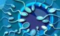 Why more and more male infertility?