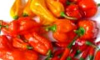 Why should not drink water after eating spicy food?