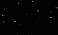 Why stars have 5 petals?