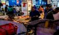 Wild animals - the source of Wuhan pneumonia