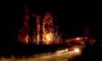 Wildfires can change Australia forever