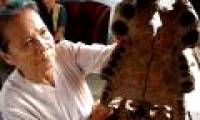 Will assess the life of the giant crocodile jaw