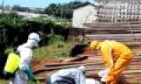 Will Ebola outbreak explode in 2 months?