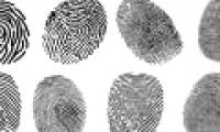 Will fingerprints change after we die?  The answer surprised everyone!