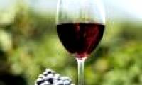Wine also works like doping