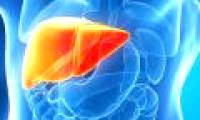 Without alcoholism, you can still quietly have cirrhosis