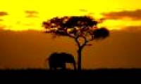 WMO enhances climate services in Africa