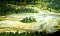 Wood Buffalo - Canada National Park