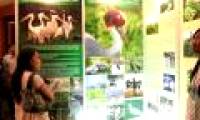 World biodiversity hot spots: ASEAN