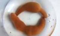 Worms named 'fish penis' can eat raw