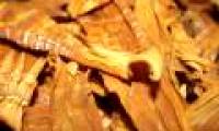 You should limit bamboo shoots if you have 1 in 5 of these diseases