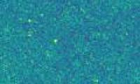 You will be surprised to know what the gold dust particles in this photo are actually!